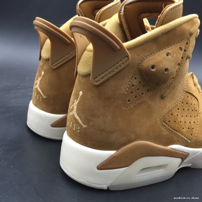 Jordan Air 6 